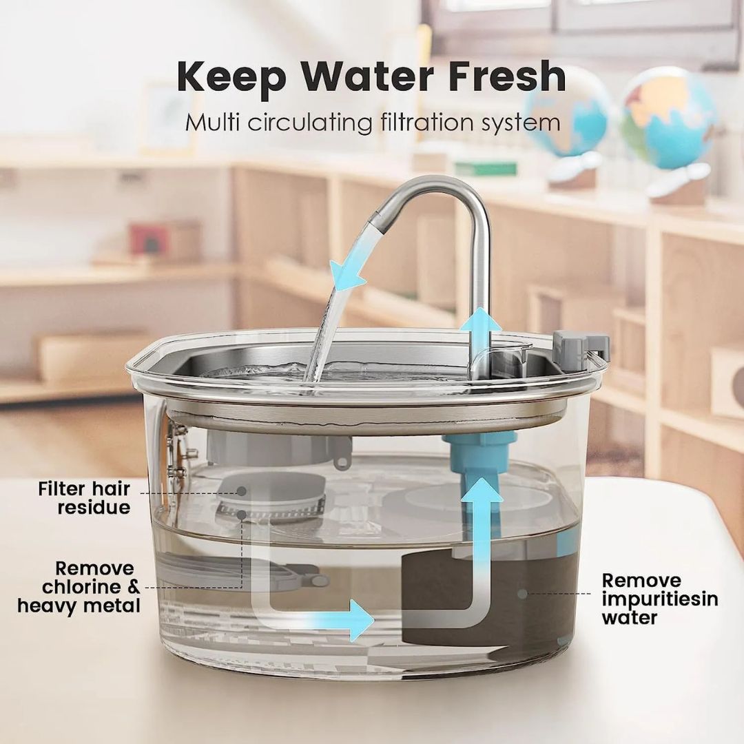 PawFlow™ Steel Water Dispenser