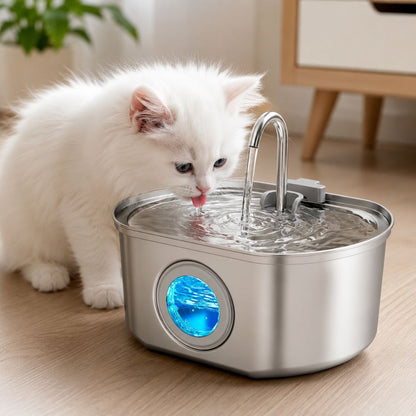 PawFlow™ Steel Water Dispenser