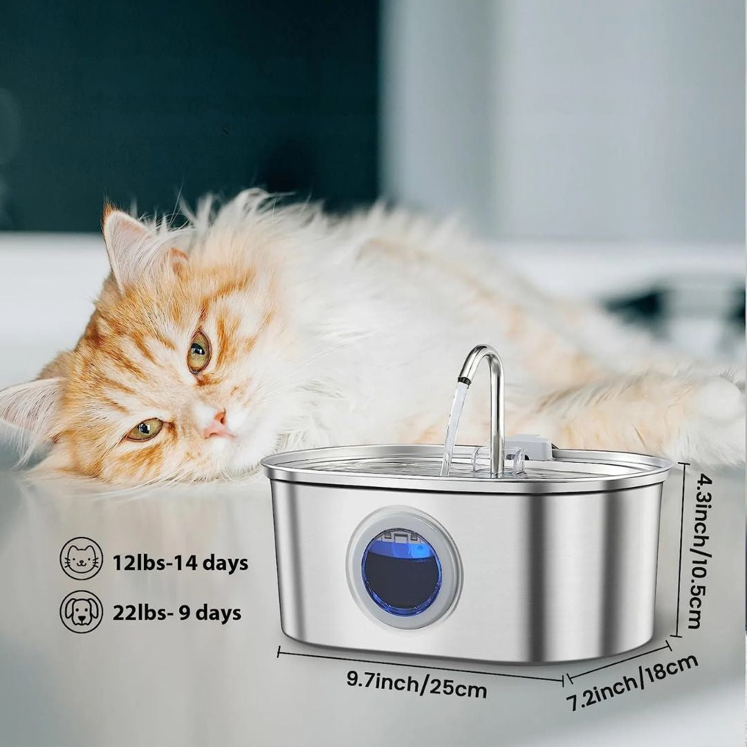 PawFlow™ Steel Water Dispenser